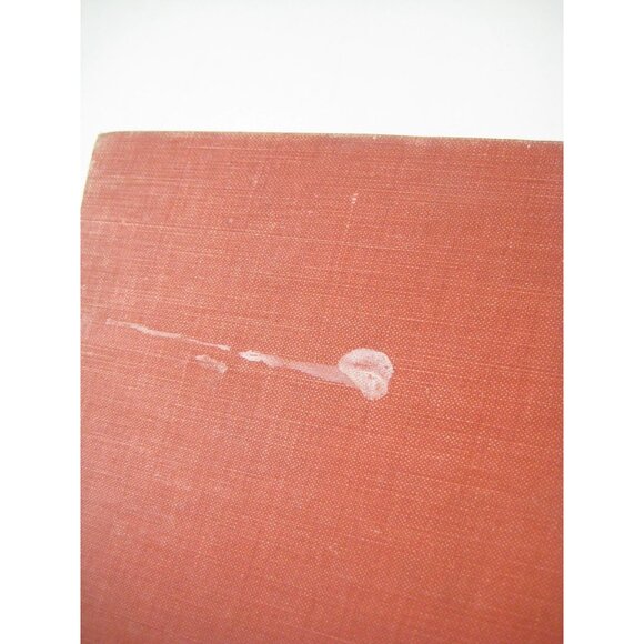 A Daughter Of The Tenements Edward W Townsend 1895 Red Hardcover - Picture 11 of 11